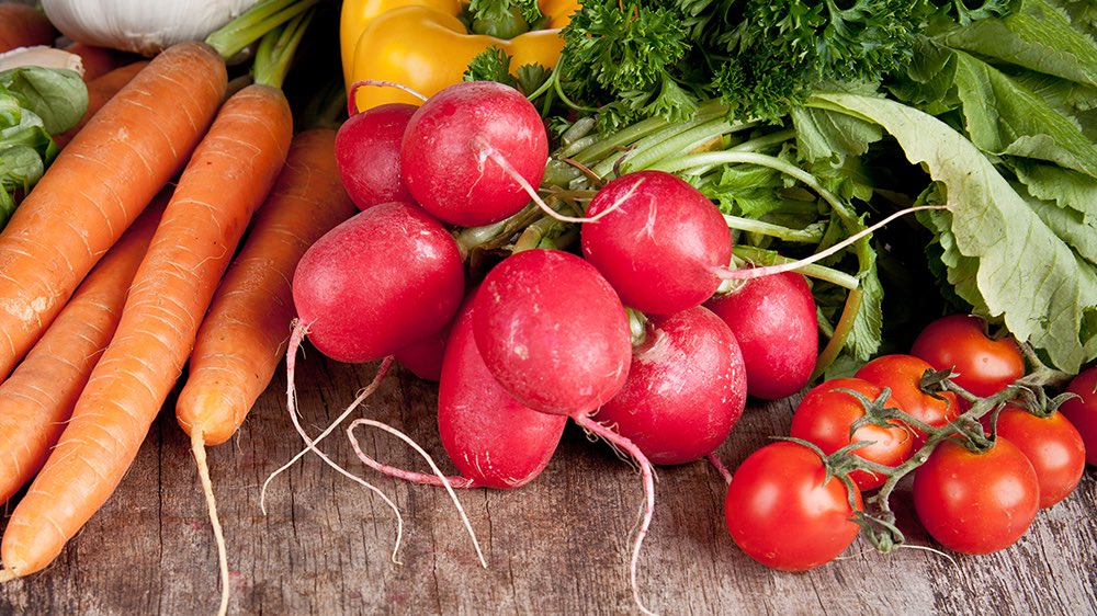 Healthy Living Center