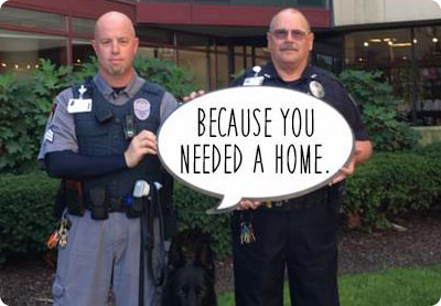 Because You Needed A Home